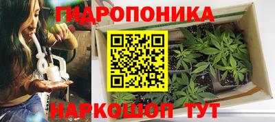 стаф Кизляр