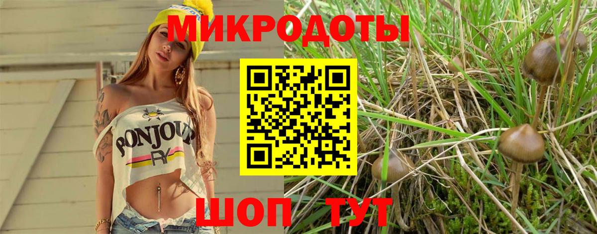 Галлюциногенные грибы MAGIC MUSHROOMS  Вход с VPN  Котовск 